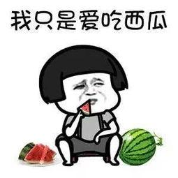 娱乐吃瓜酱ovo